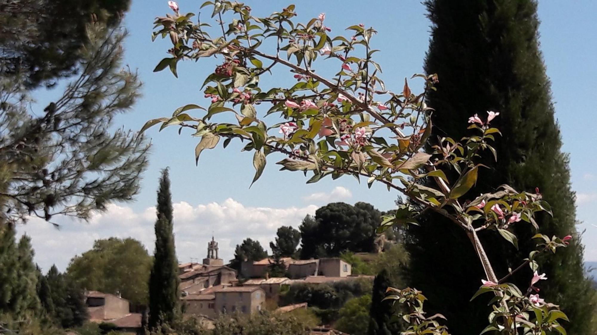 Les 3 Saisons Bed & Breakfast Cucuron Exterior photo